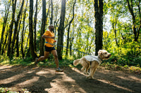Ruffwear Swamp Cooler™ Cooling Vest